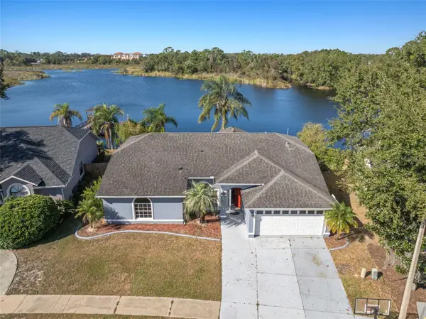 2229 Foggy Ridge Parkway, LAND O LAKES, FL 34639