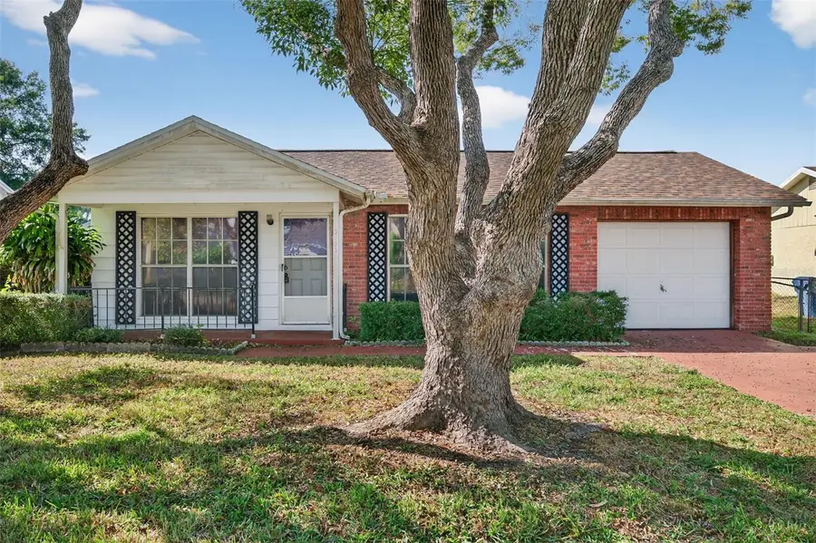 3123 Lodi Drive, New Port Richey, FL 34655 - Image #3