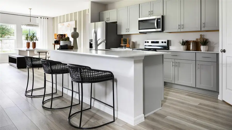 9258 Pavilion Shade Drive, Zephyrhills, FL 33541 - Image #2