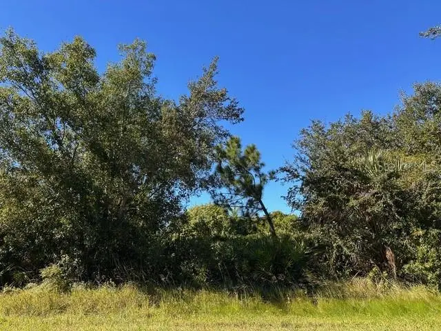 22059 Bancroft Avenue, Port Charlotte, FL 33954 - Image #2