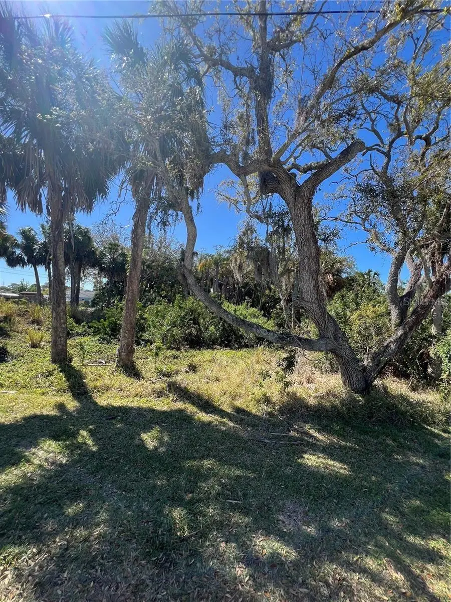 Betty Street, Port Richey, FL 34668 - Image #2