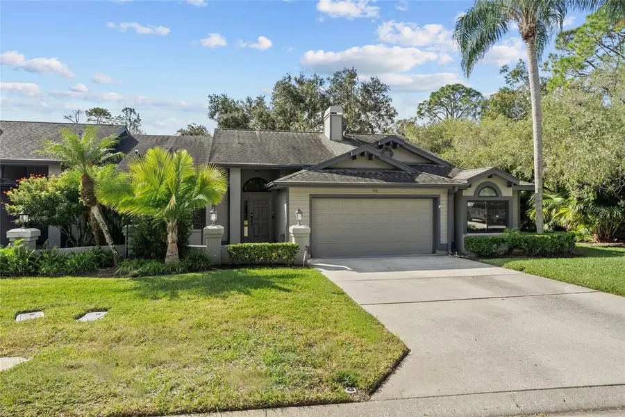 948 Lucas Lane, Oldsmar, FL 34677 - #3