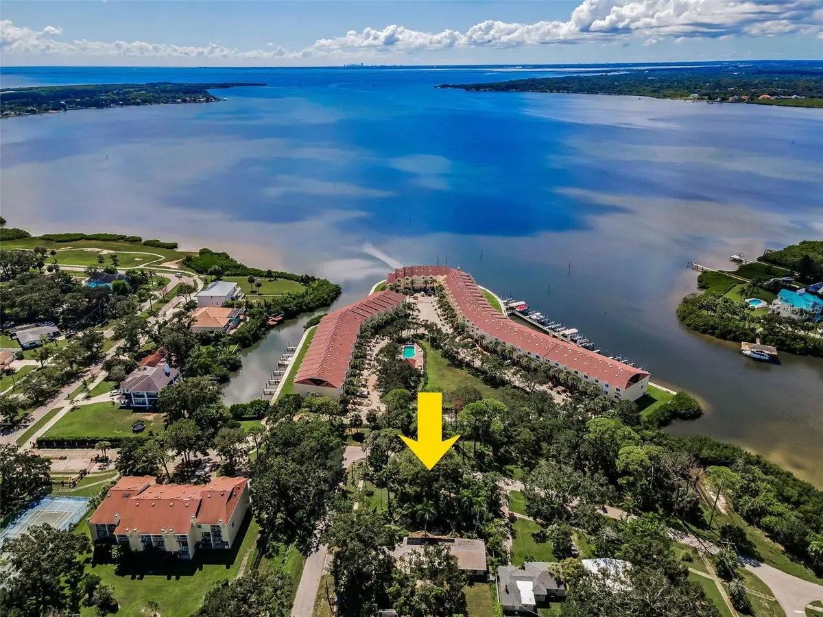 416 Woodward Avenue, Oldsmar, FL 34677 - Image #1