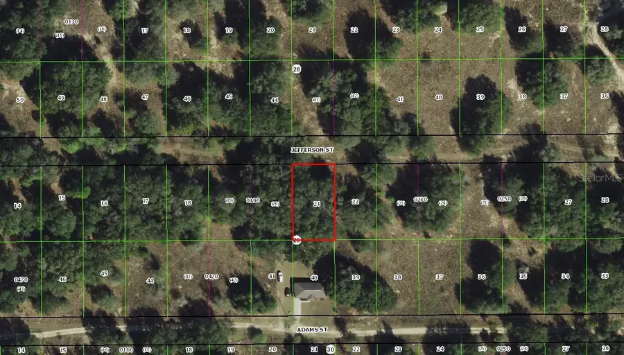 2305 Jefferson Street, Inverness, FL 34453 - Image #2