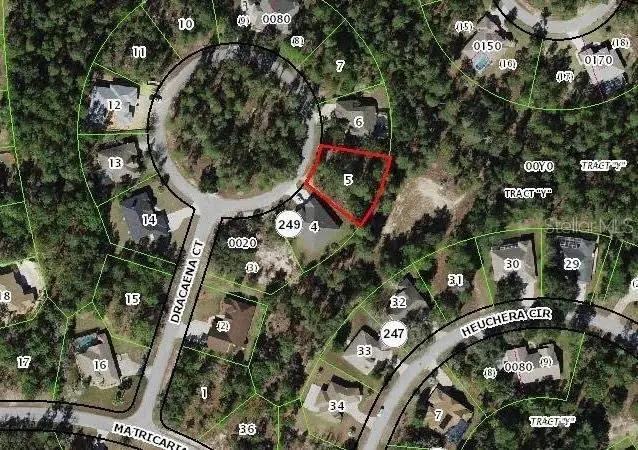 10 Dracaena Court, Homosassa, FL 34446 - Image #1