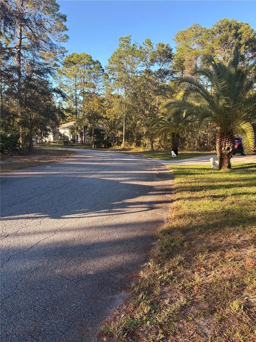 10 Dracaena Court, Homosassa, FL 34446 - Image #3