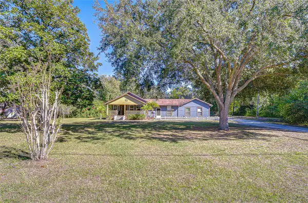 11313 Marjory Avenue, TAMPA, FL 33612