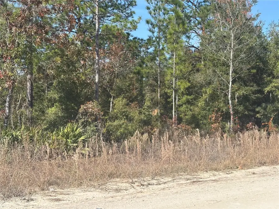 0000 NE 106th Court, Archer, FL 32618 - Image #2