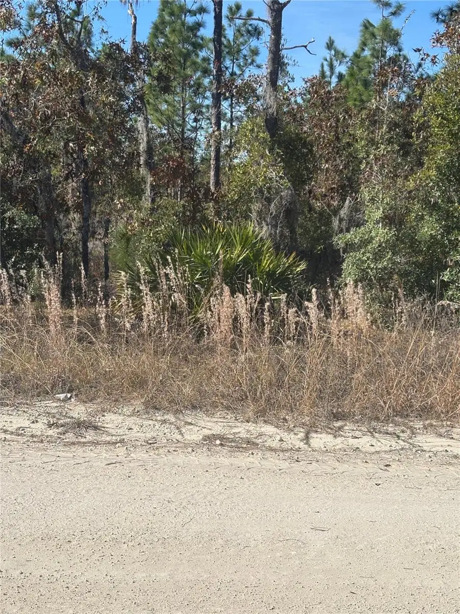 0000 NE 106th Court, Archer, FL 32618 - Image #3