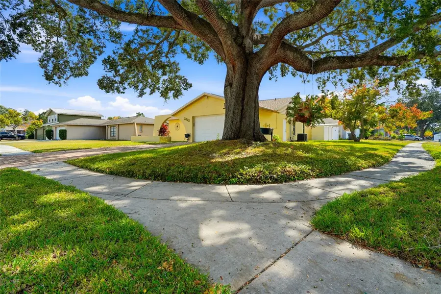 5425 Pentail Circle, Tampa, FL 33625 - Image #3