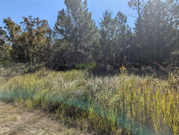 11240 Fool Duck Avenue, WEEKI WACHEE, FL 34613