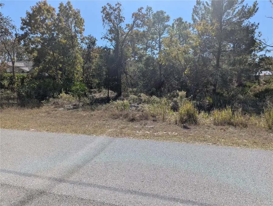 11240 Fool Duck Avenue, Weeki Wachee, FL 34613 - Image #3