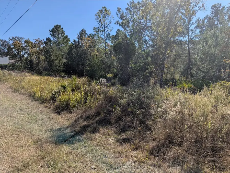 11228 Fool Duck Avenue, Weeki Wachee, FL 34613 - Image #2