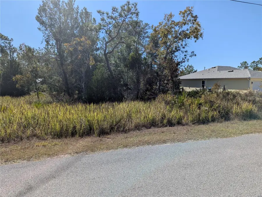 11228 Fool Duck Avenue, Weeki Wachee, FL 34613 - Image #3