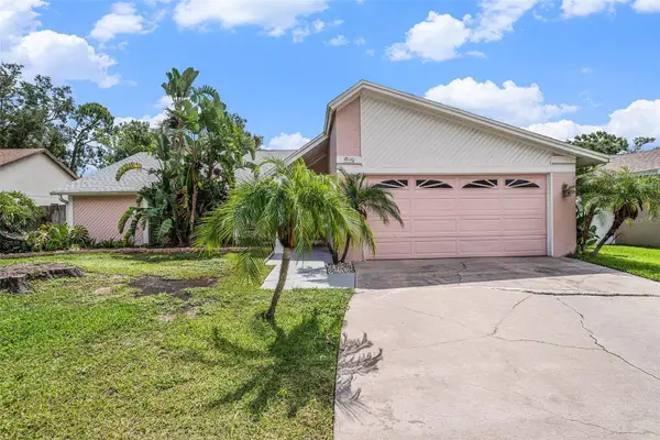 3335 Foxridge Circle, TAMPA, FL 33618