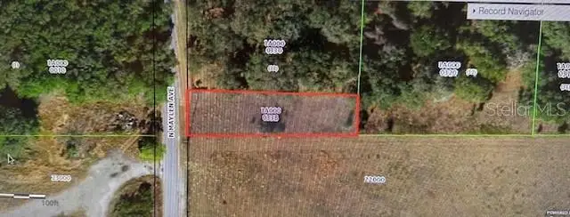 1251 N Maylen Avenue, Lecanto, FL 34461 - Image #2