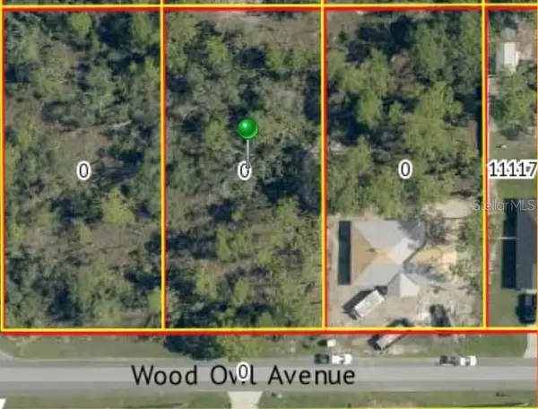 00 Wood Owl Avenue, WEEKI WACHEE, FL 34614