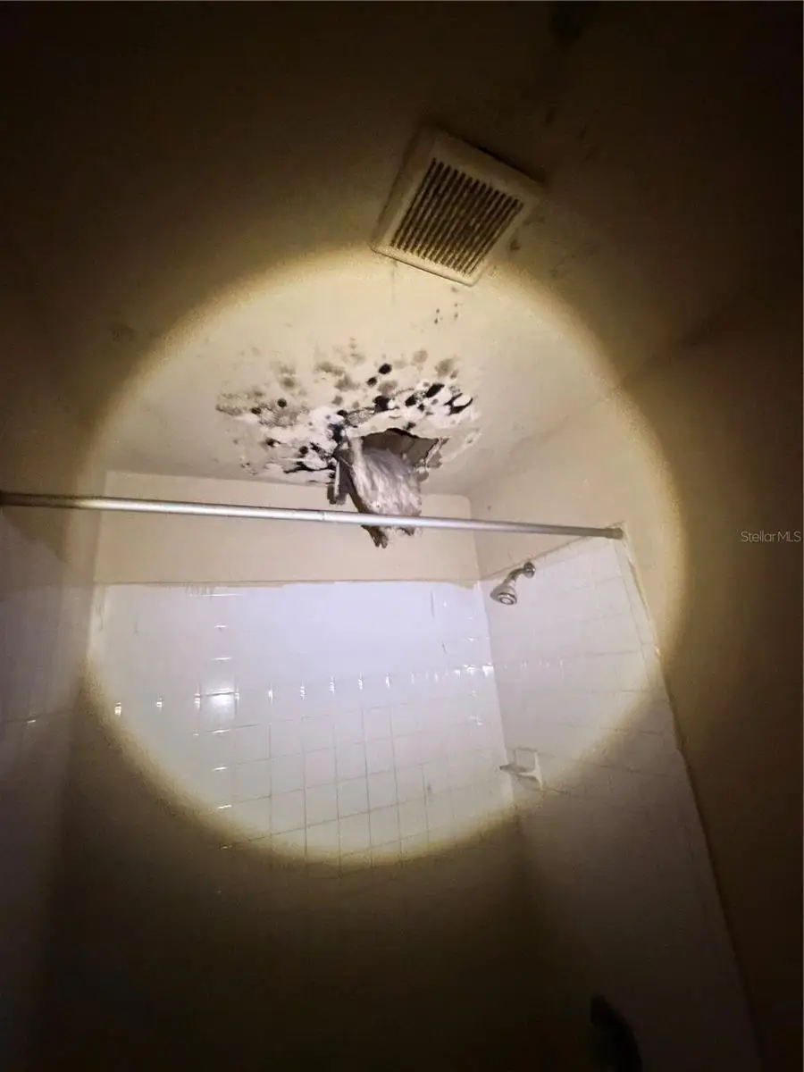 1724 E Mulberry Drive, Tampa, FL 33604 - Image #2