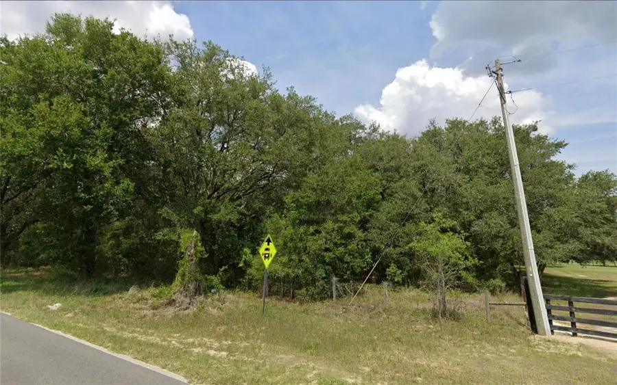 Hardwood Avenue, Weirsdale, FL 32195 - Image #2