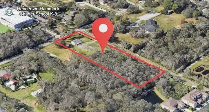 6318 Lynn Road, Tampa, FL 33625 - Image #3