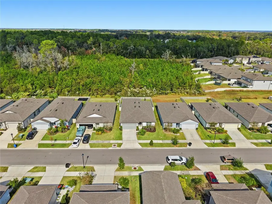 30177 Merilee Place, Wesley Chapel, FL 33545 - Image #2