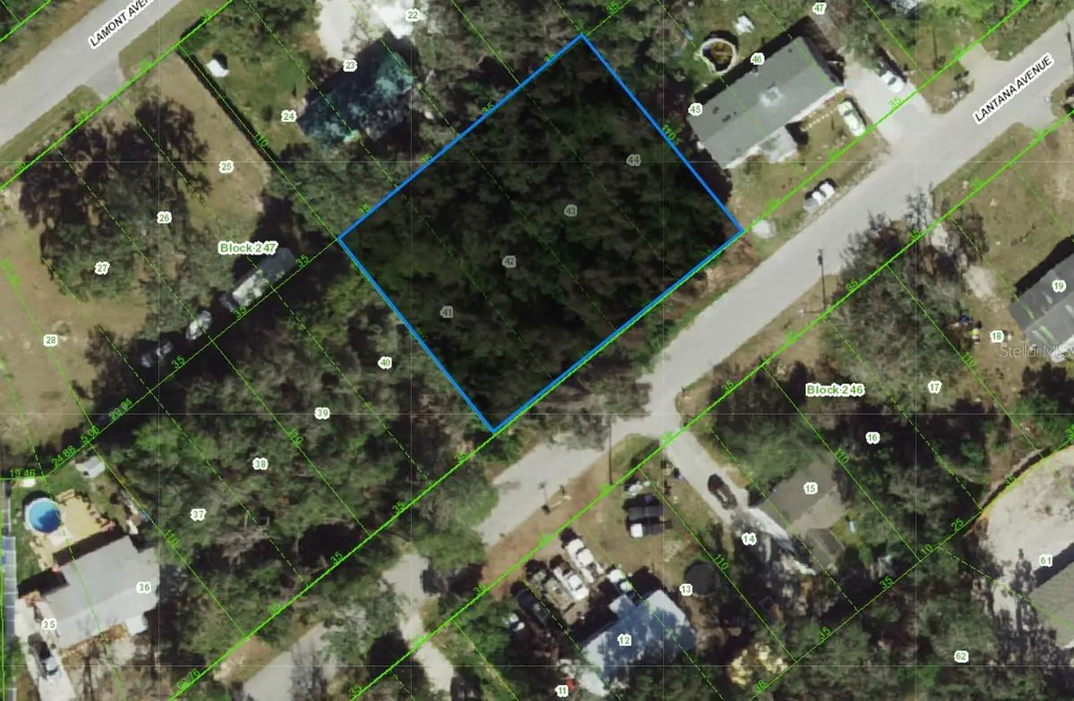 0 Lantana Avenue, New Port Richey, FL 34654 - Image #1