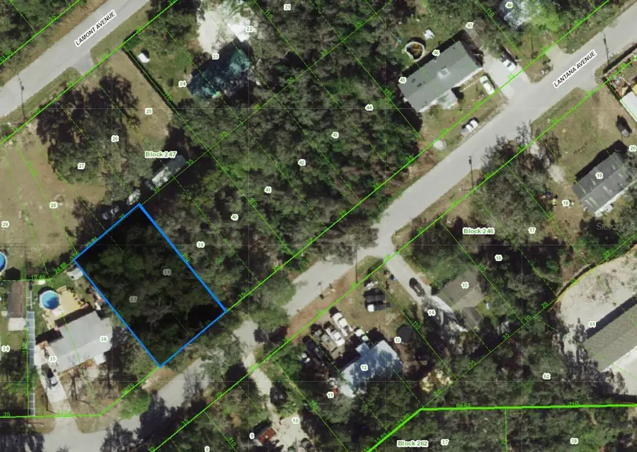 0 Lantana Avenue, New Port Richey, FL 34654 - Image #2