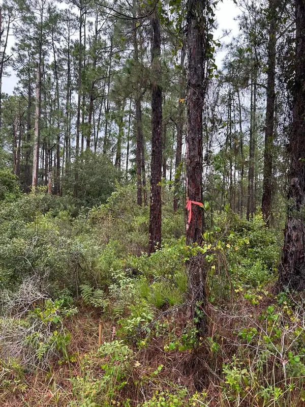 5900 Sally Avenue N, LEHIGH ACRES, FL 33971