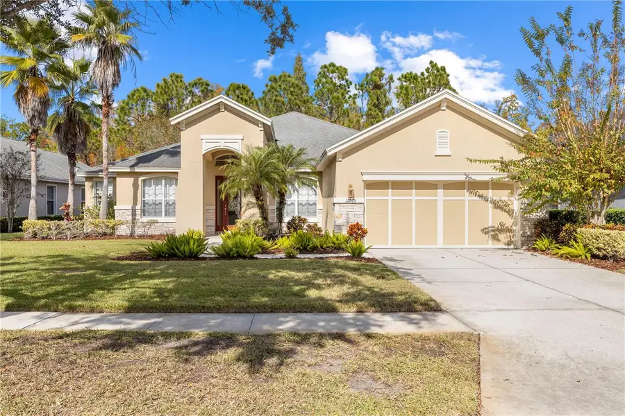 12013 Meridian Point Drive, Tampa, FL 33626 - Image #2
