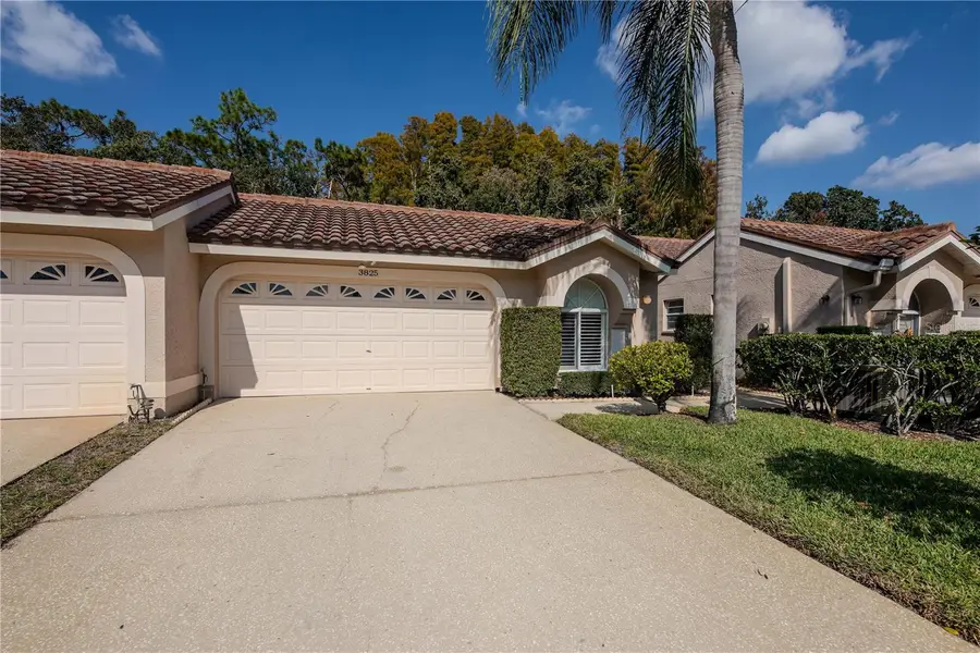 3825 Darston Street, Palm Harbor, FL 34685 - Image #3