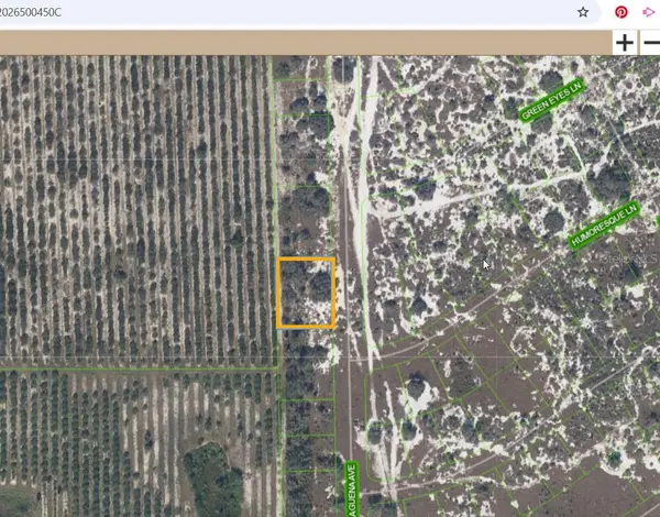 725 Malaguena Avenue, LAKE PLACID, FL 33852