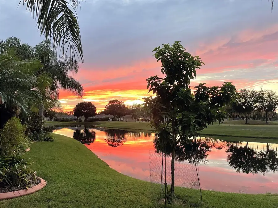 25745 Unbridled Court, Wesley Chapel, FL 33544 - Image #2