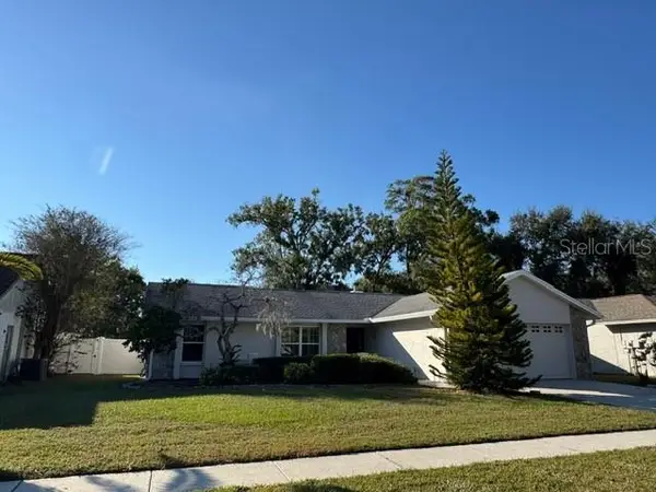 14912 Palmcrest Place, TAMPA, FL 33625