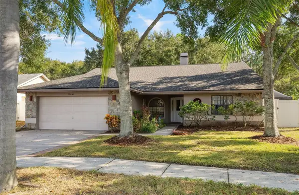 12030 Steppingstone Boulevard, TAMPA, FL 33635