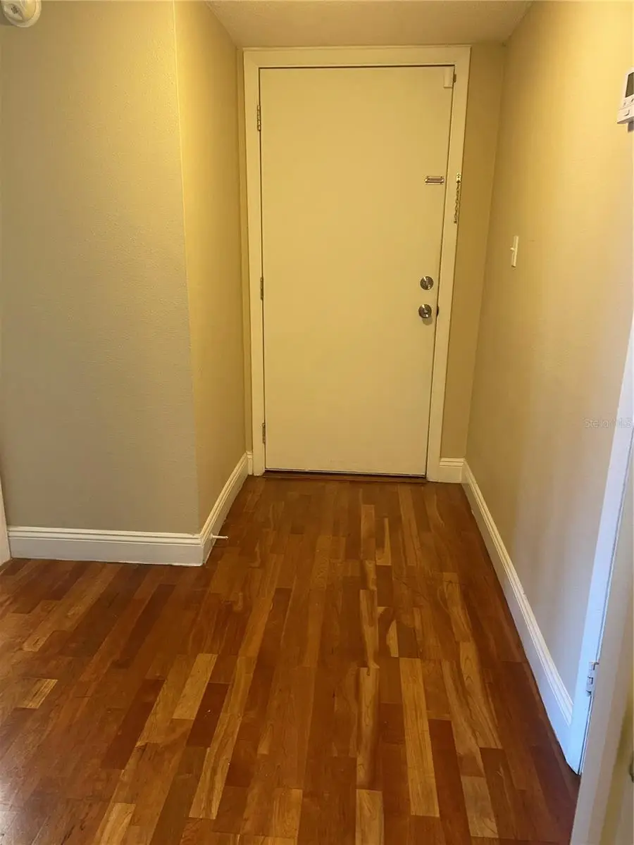 7612 Camarina Calle #7612, Tampa, FL 33615 - Image #3