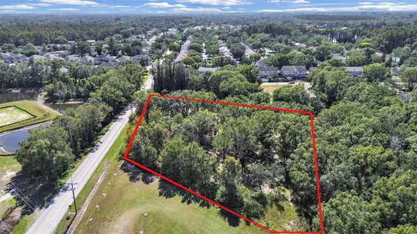 16906 Lakeshore Road, LUTZ, FL 33558