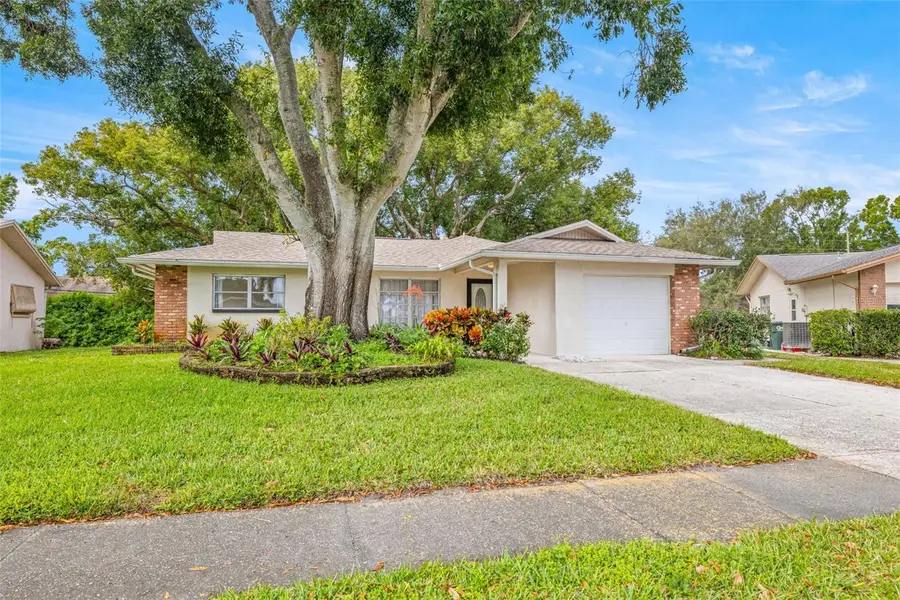 142 Stafford Circle, Palm Harbor, FL 34684 - Image #2