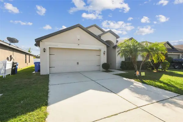14313 Haddon Mist Drive, WIMAUMA, FL 33598