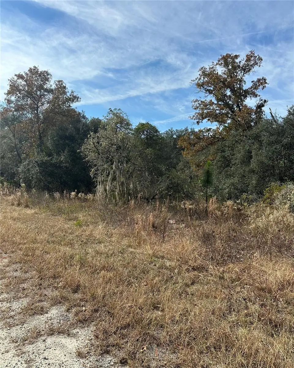 Lot 26 SE 133rd Avenue, Dunnellon, FL 34434 - Image #1