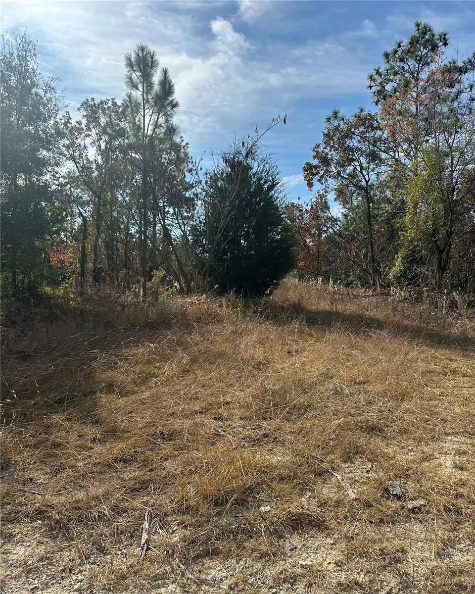 Lot 2 NE 151st Ter, Williston, FL 32696 - Image #1