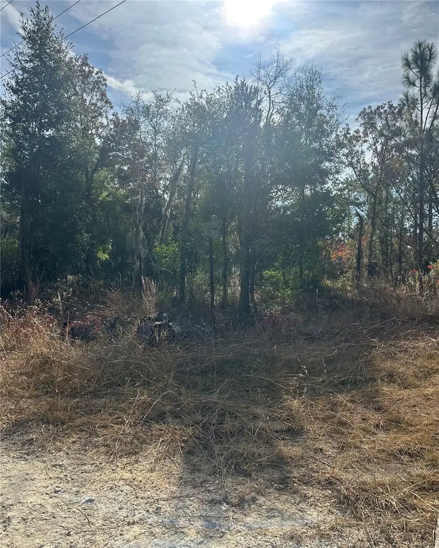 Lot 2 NE 151st Ter, Williston, FL 32696 - Image #2