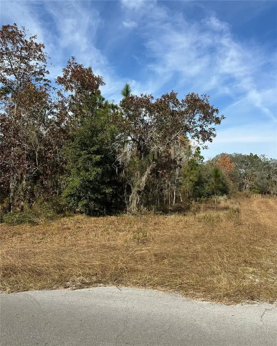 Lot 2 NE 151st Ter, Williston, FL 32696 - Image #3