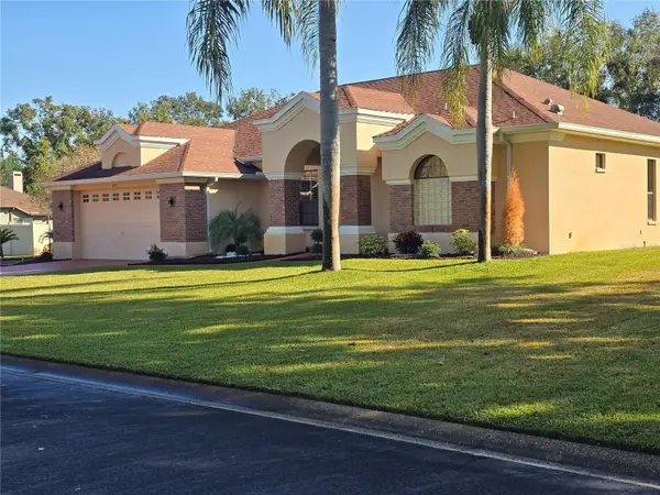 1030 Rowland Pickert Lane, LUTZ, FL 33548
