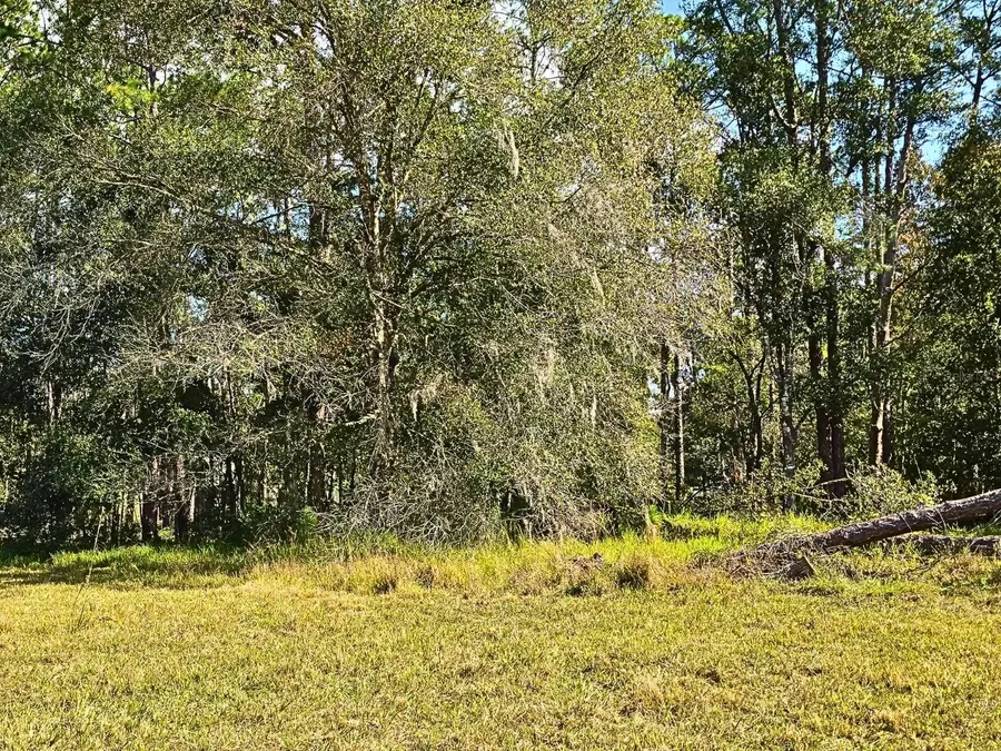 0 Bennington Drive, Wesley Chapel, FL 33544 - Image #3