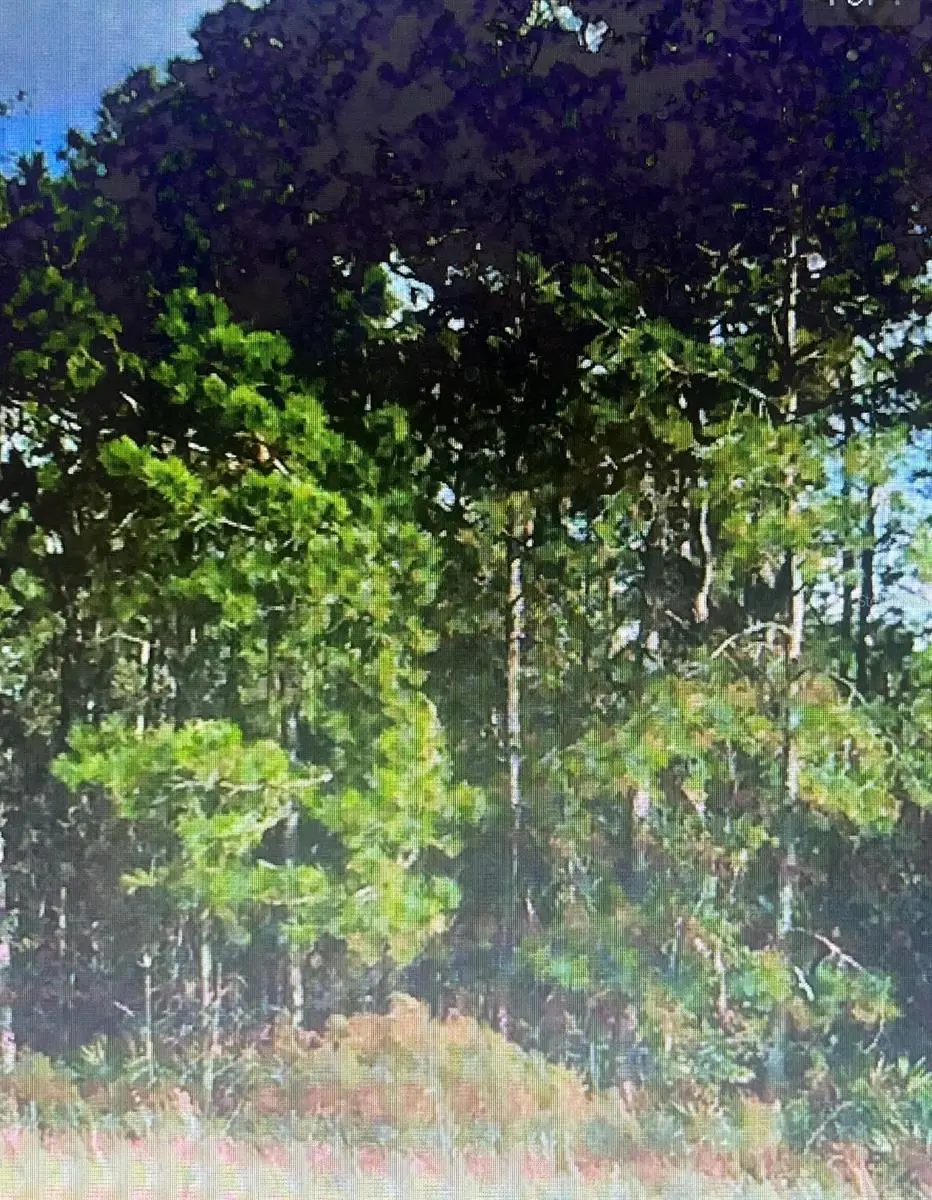 Unassigned Location Re, Archer, FL 32618 - Image #1