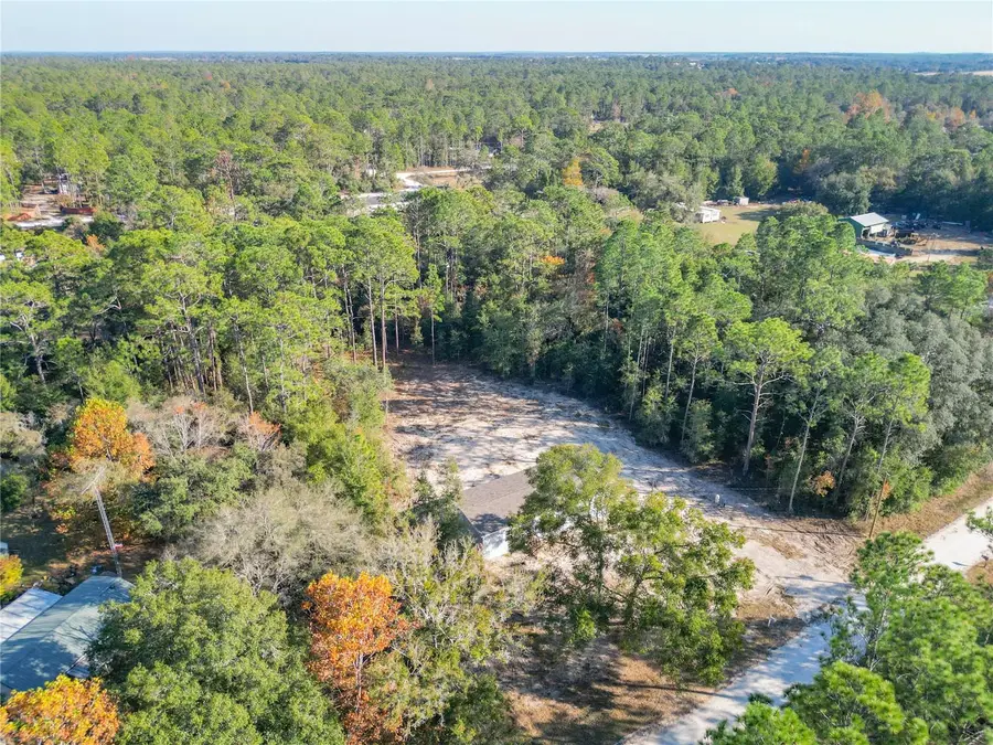 2291 SE 140 Avenue, Morriston, FL 32668 - Image #2