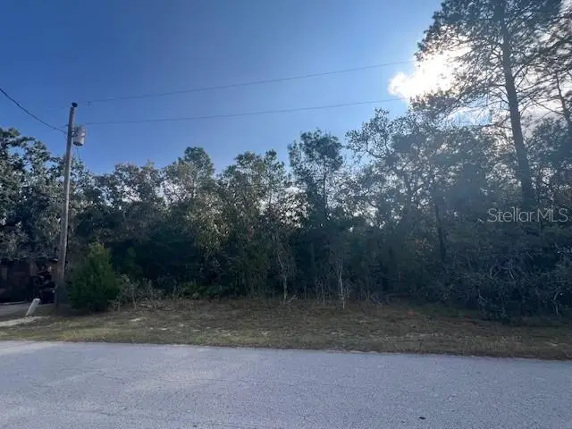 3328 Horseshoe Ln, Spring Hill, FL 34606 - Image #1