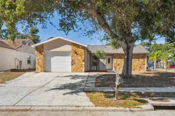 11321 Blackbark Drive, RIVERVIEW, FL 33579