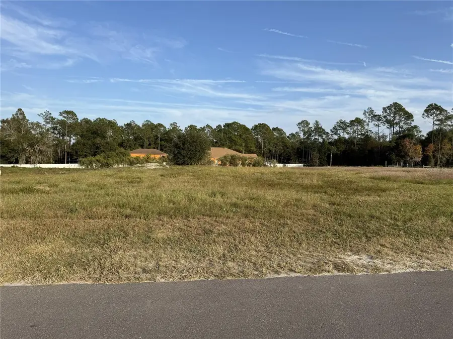 14950 Mim Place, Dade City, FL 33525 - Image #3