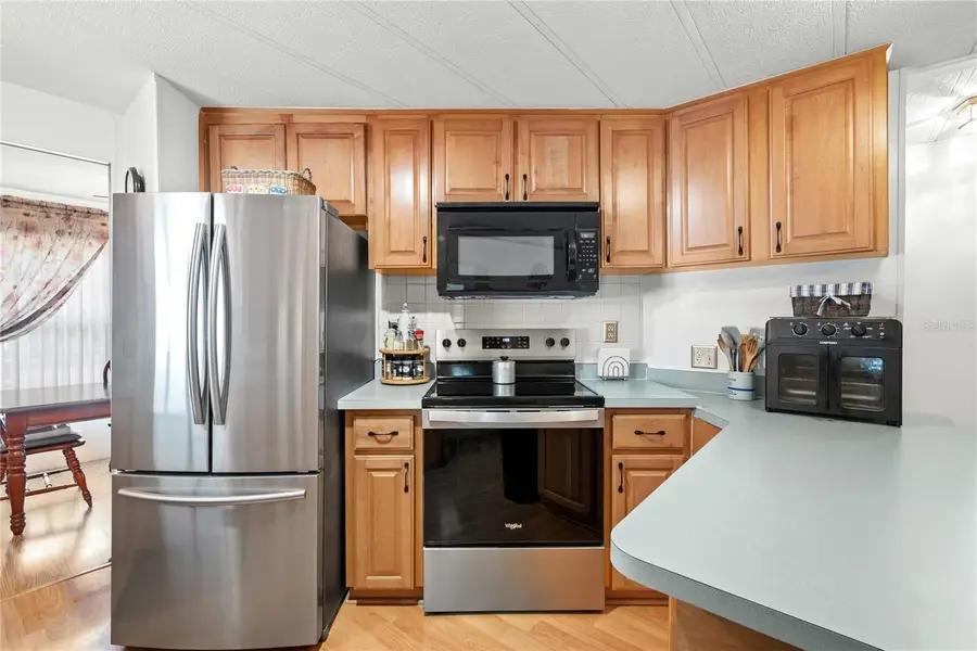 5646 Dean Dairy Road, Zephyrhills, FL 33541 - Image #2